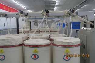 漢麻產(chǎn)業(yè)化關(guān)鍵技術(shù)及應用推廣活動成功舉行，助力產(chǎn)業(yè)高質(zhì)量發(fā)展